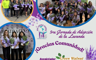 ¡Increíble éxito en nuestra 3ª Jornada de Adopción de Lavanda!