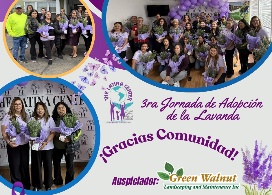 Incredible success at our 3rd Lavender Adoption Day!